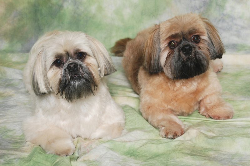 Balou und Frieda